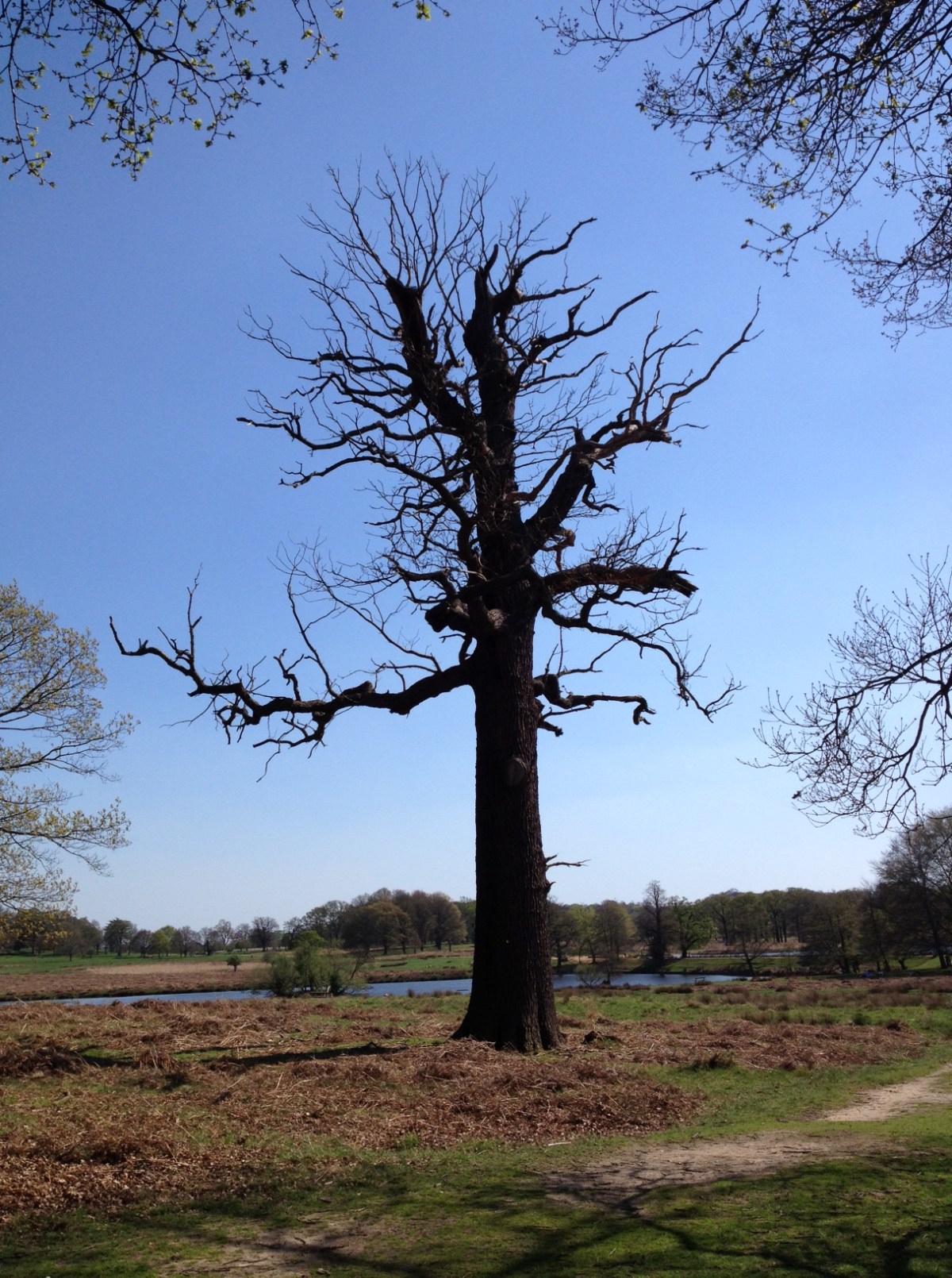 And back to&nbsp;Northenden