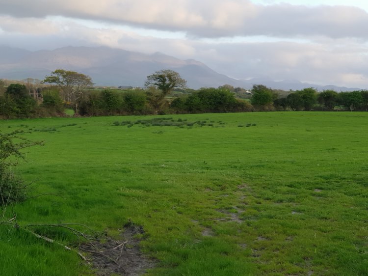 The view from our window