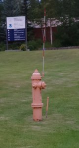 Actually, it's do they can find the hydrant in the snow