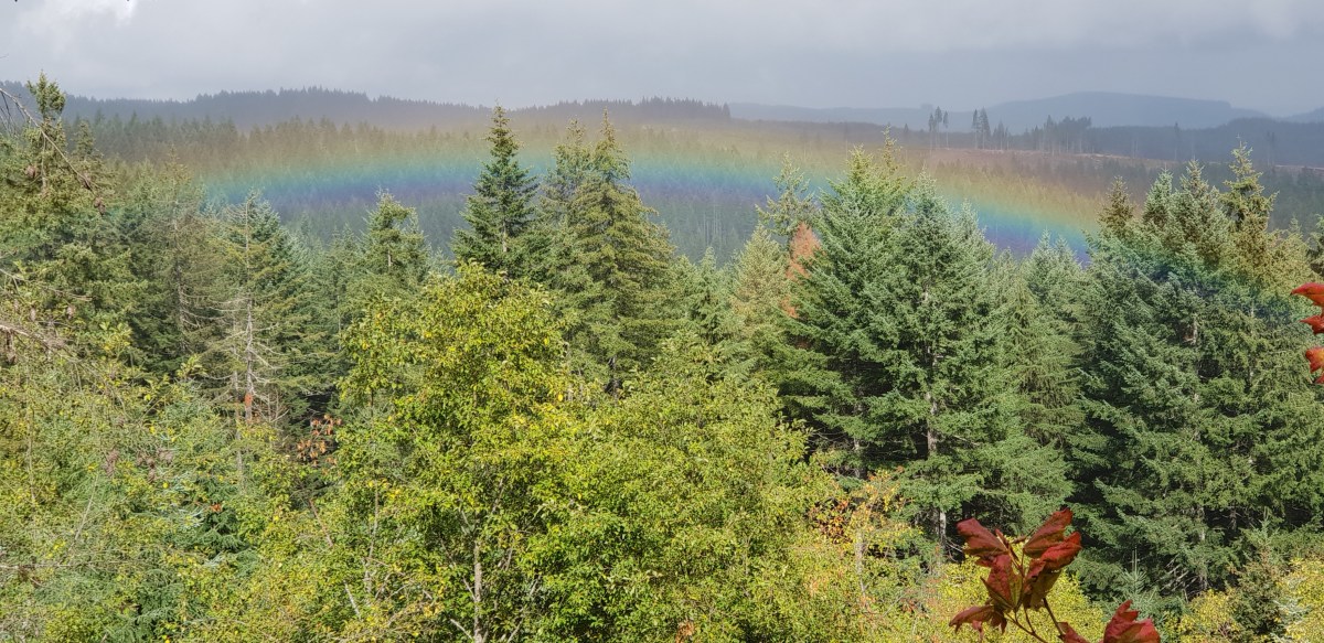 Portland and Manzanita