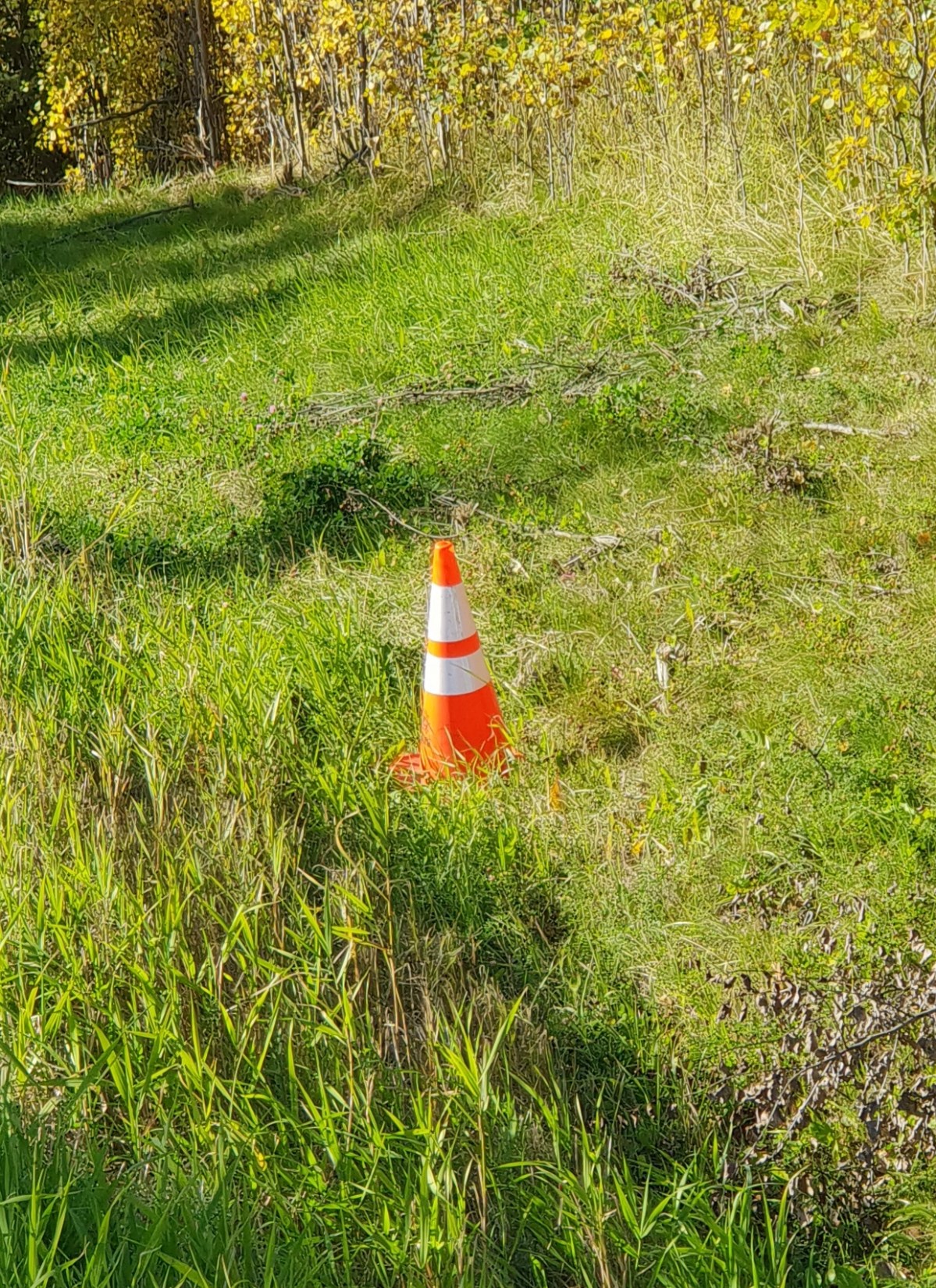 Autumn Colours (again)