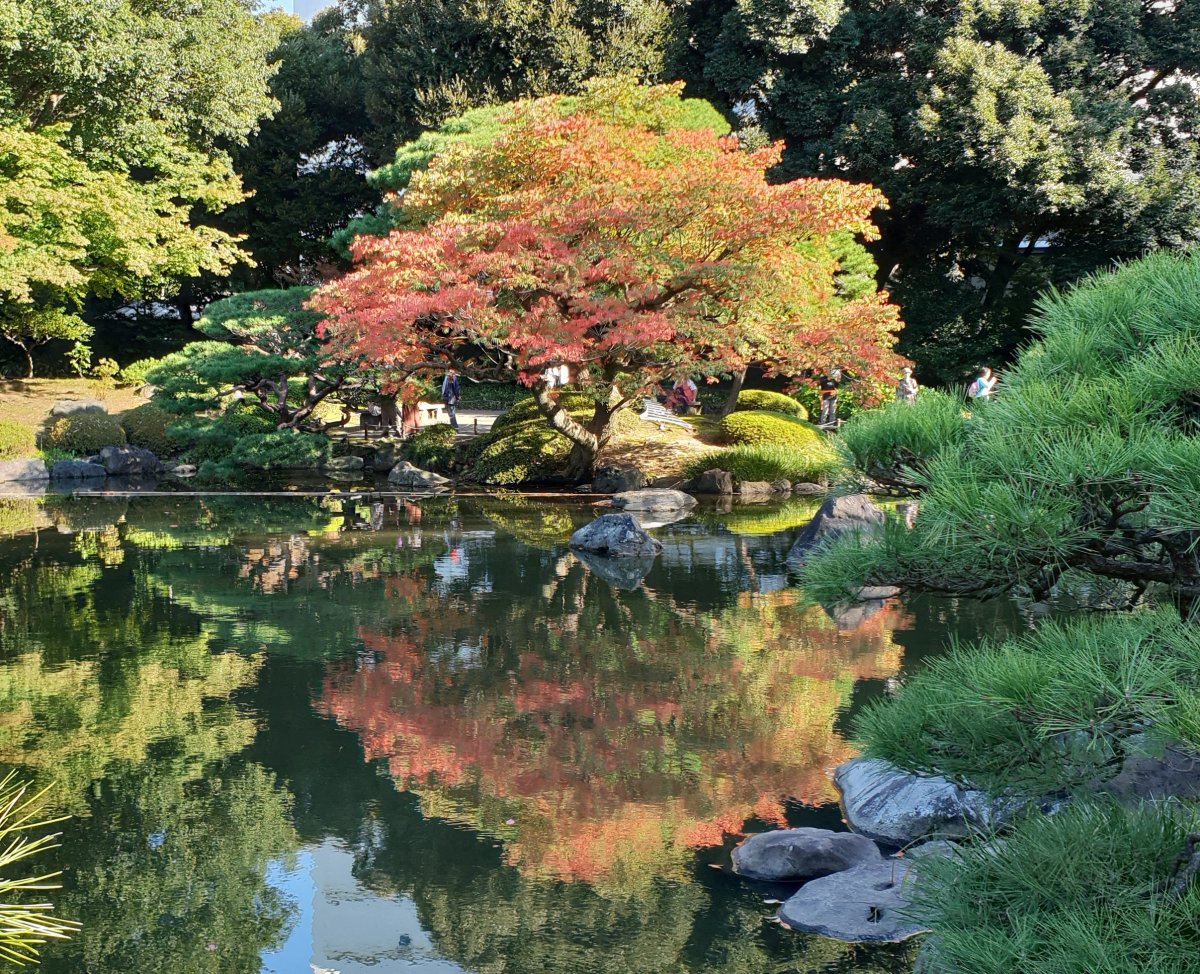 Wandering around Bunkyō