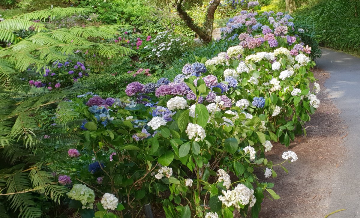 A pair of&nbsp;Wellingtons