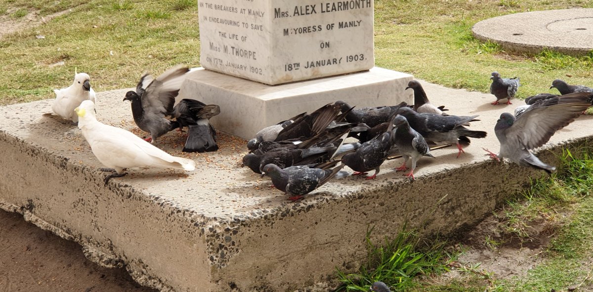 Blood, Bond, Broadband