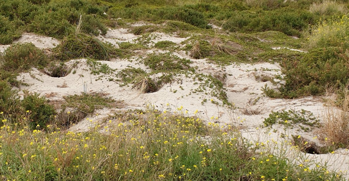 Nirranda and Port&nbsp;Fairy