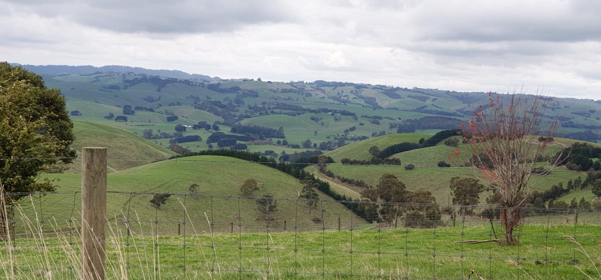 Raymond Island, Walhalla and on to Wilson’s&nbsp;Prom