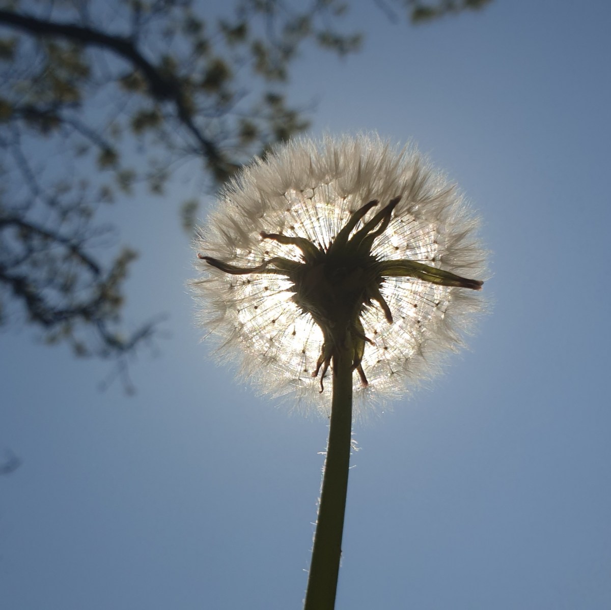 Pink things and other&nbsp;colours