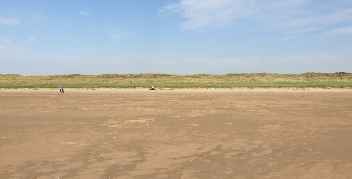 Mandelbrot Extinction