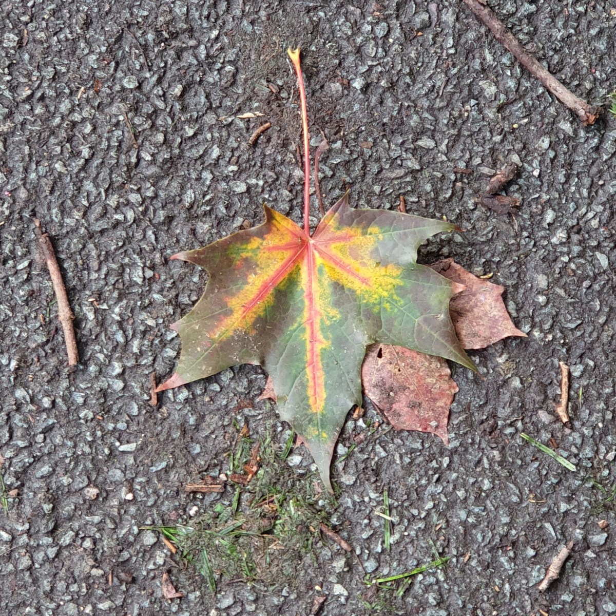 Benches, boats, birds and&nbsp;bottoms