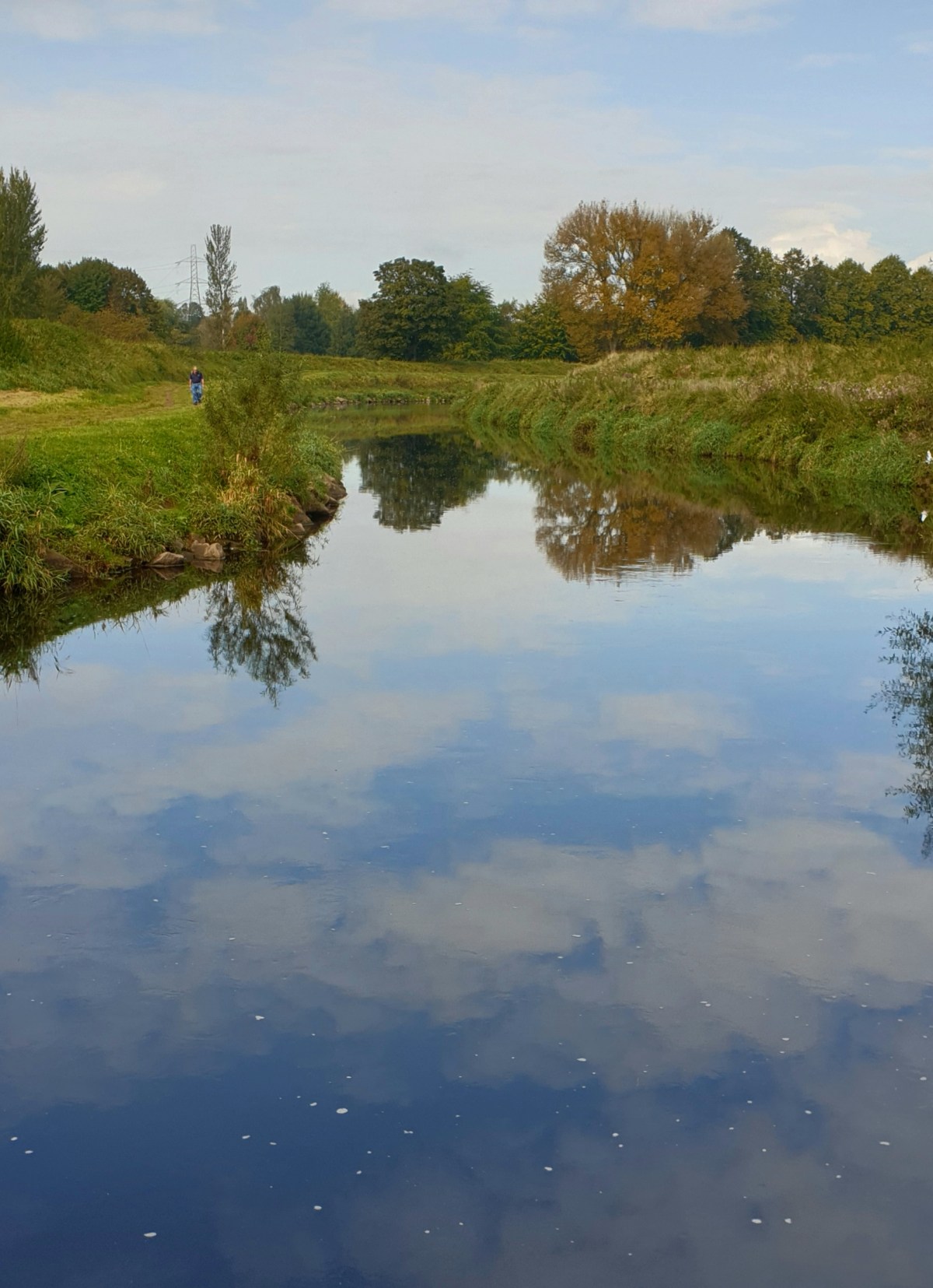Mushrooms mushrooming
