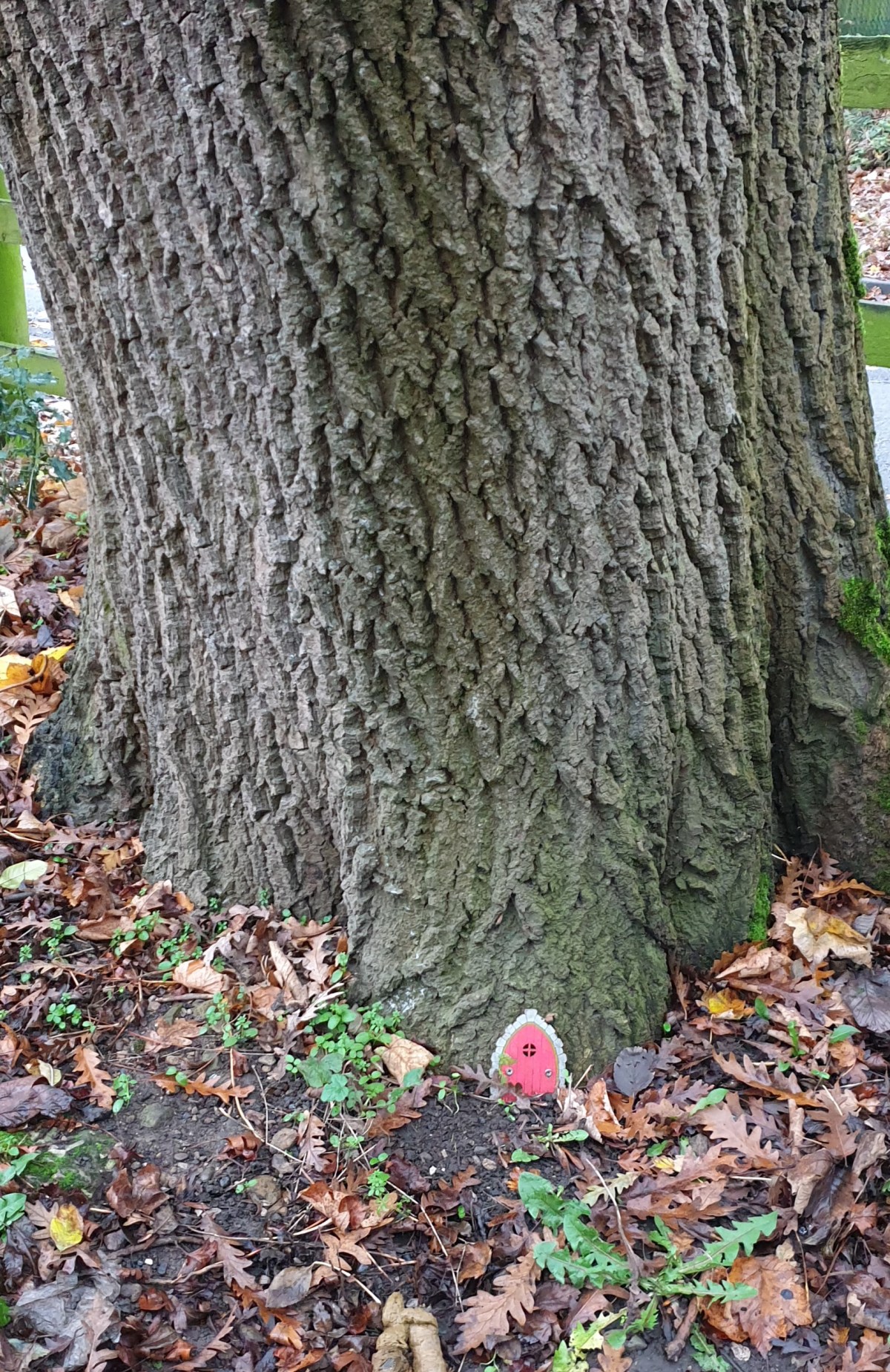 10,000 steps a&nbsp;day