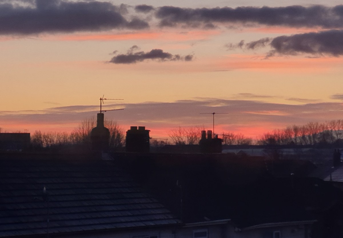 Seagulls playing chicken