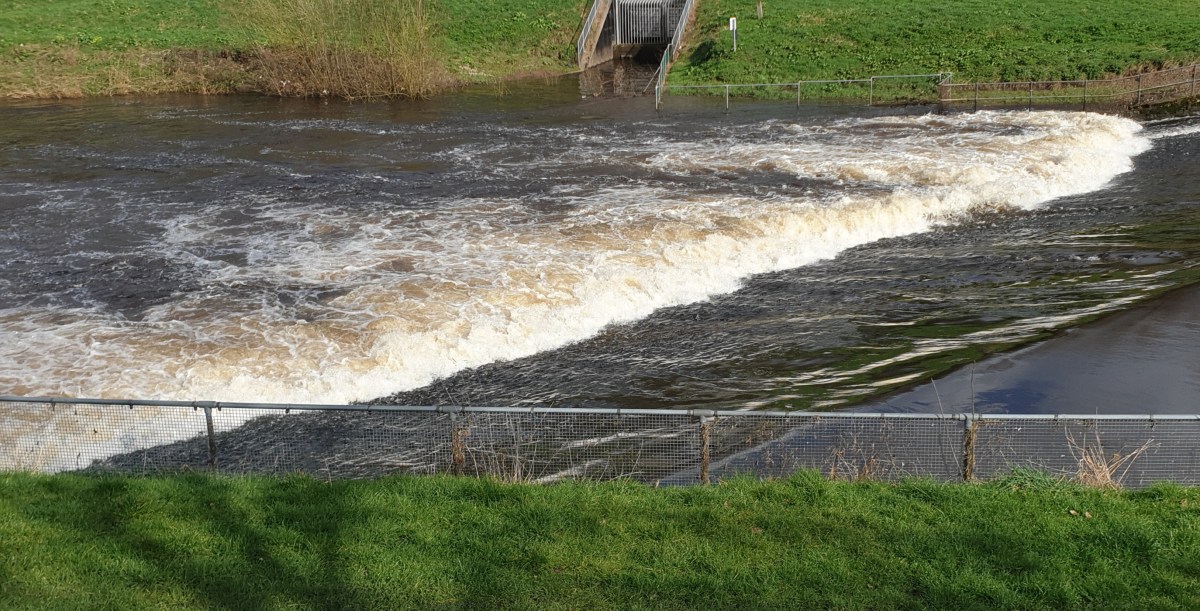 Swimmin’ and women