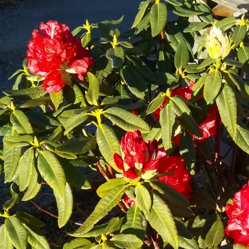 Bath, bridge and&nbsp;backpack