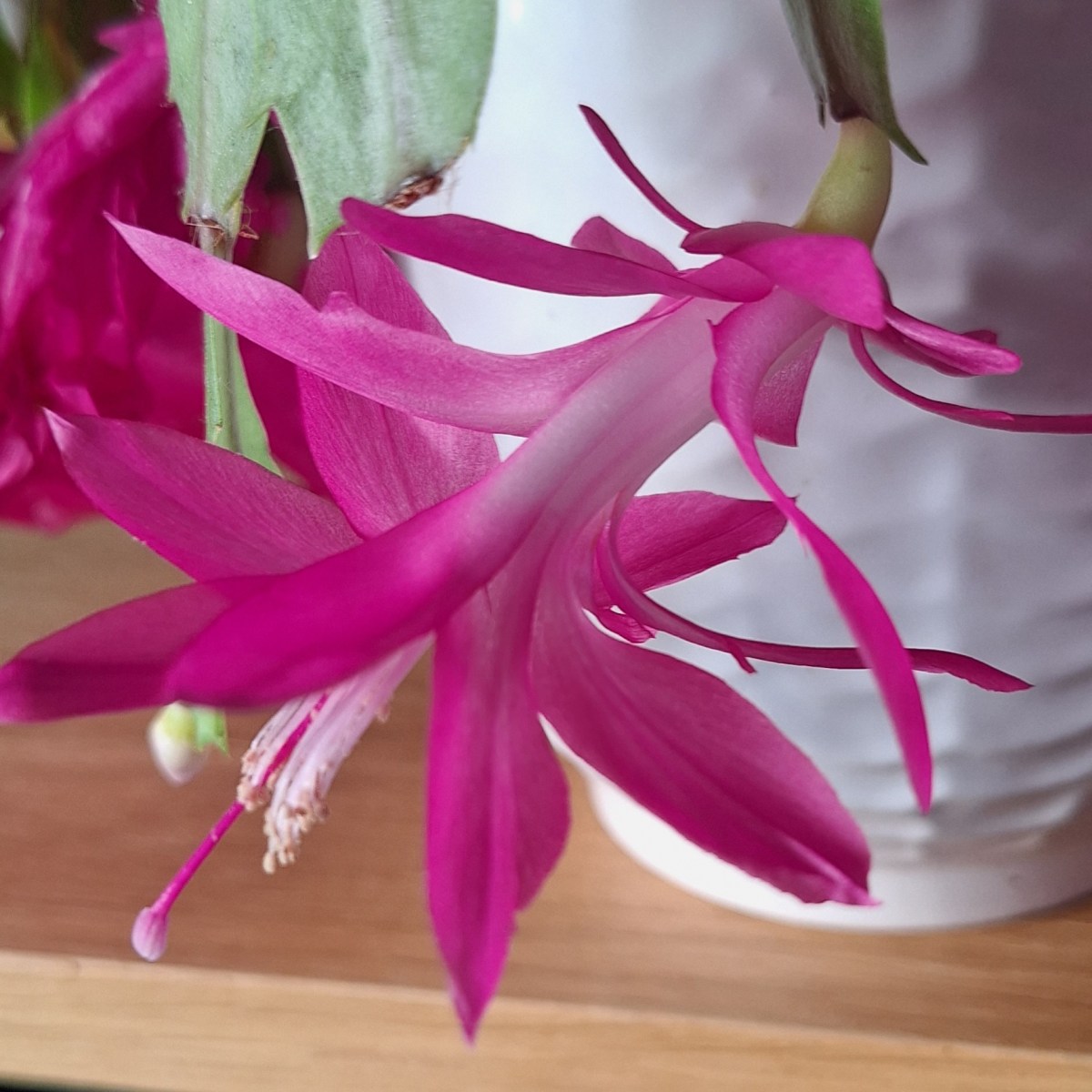 A Vicar and&nbsp;Aladdin