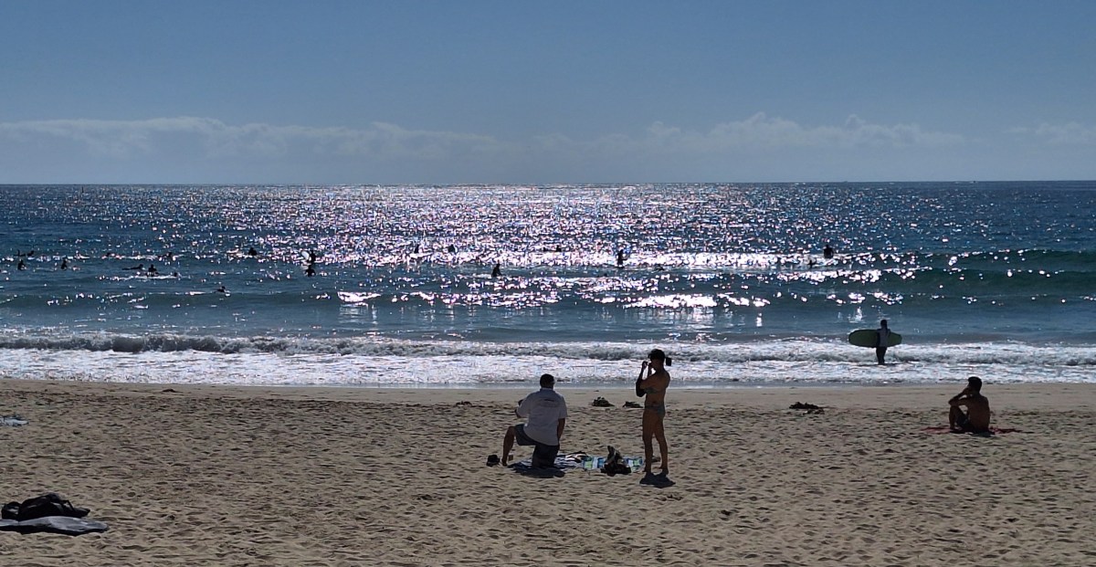 Beaches, birds and&nbsp;boats