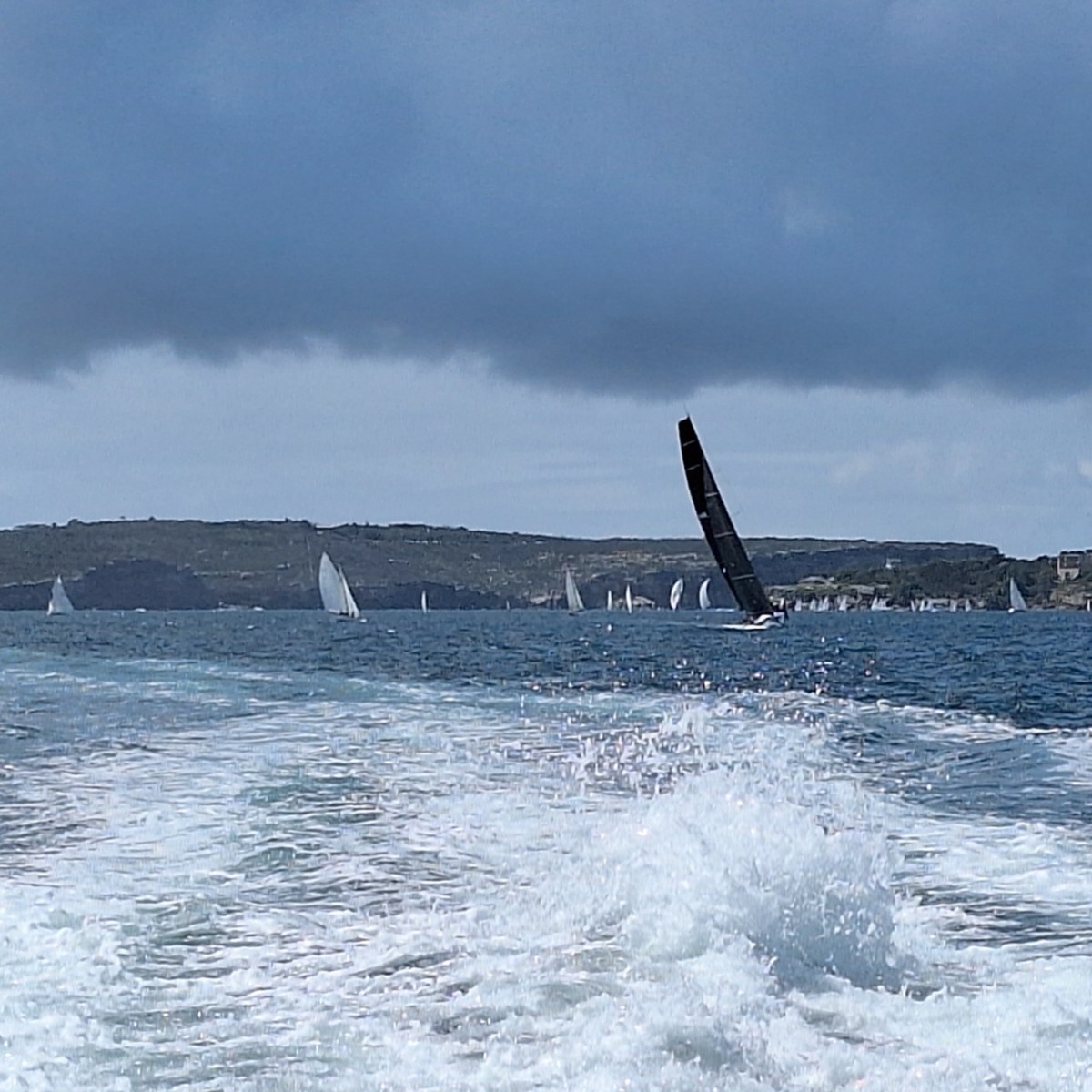 More beaches, birds and&nbsp;boats