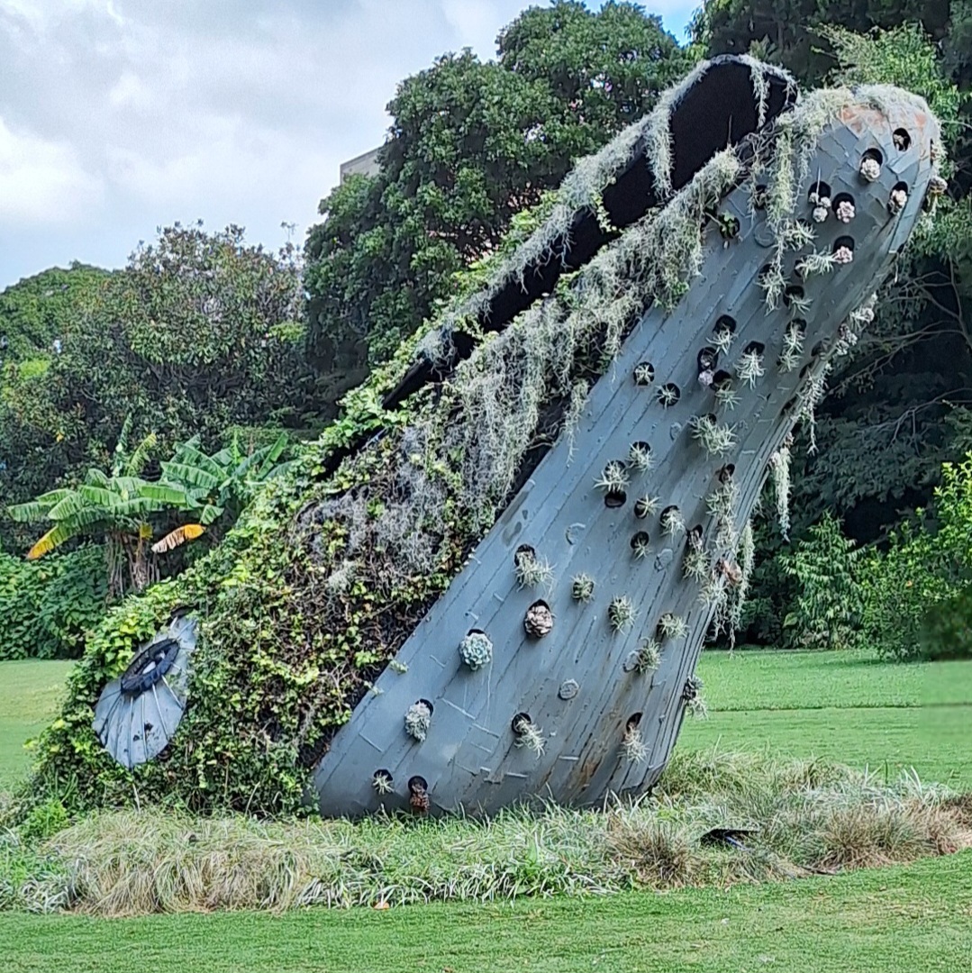 Cassowaries and cake