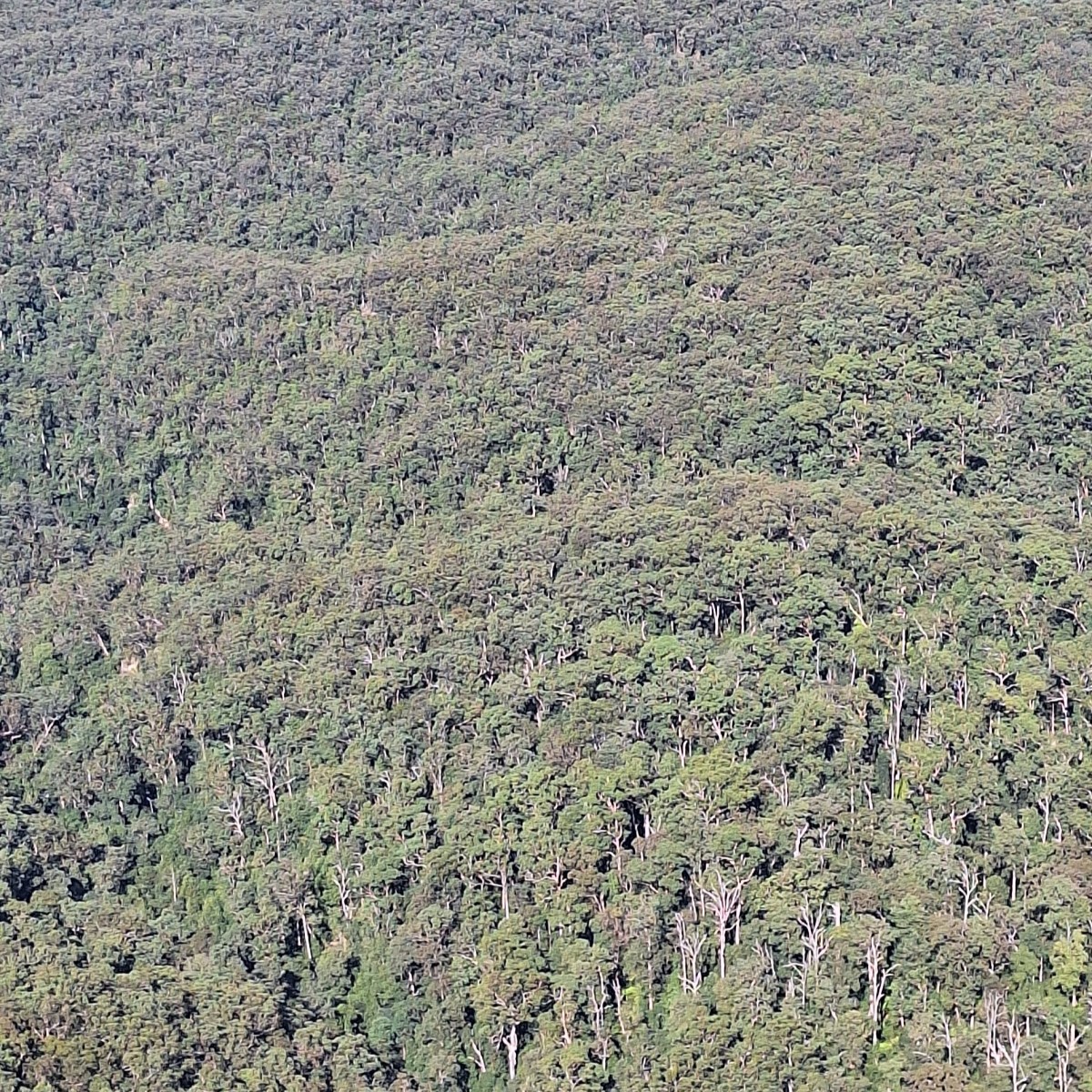 Red, white and&nbsp;Blue