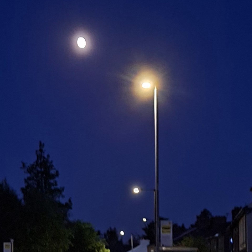 Some things that&nbsp;fly