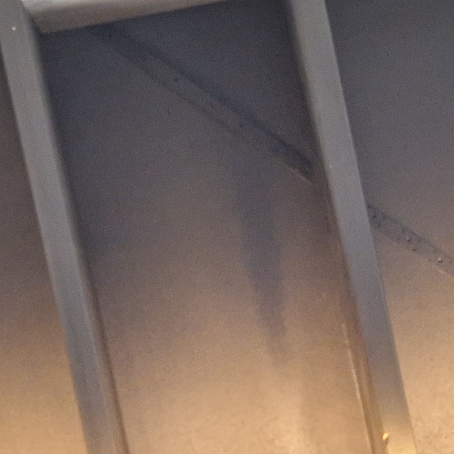 Family and other&nbsp;wildlife