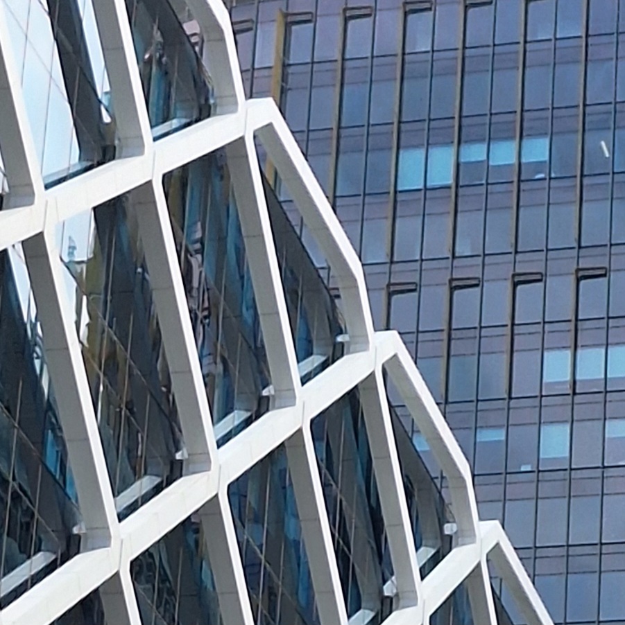 Buses, boats and&nbsp;birds