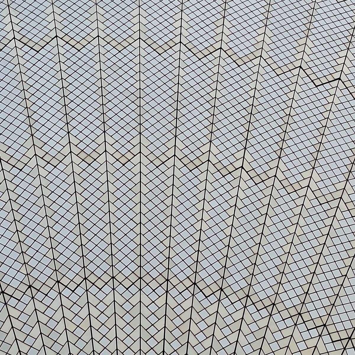 More boats and&nbsp;birds